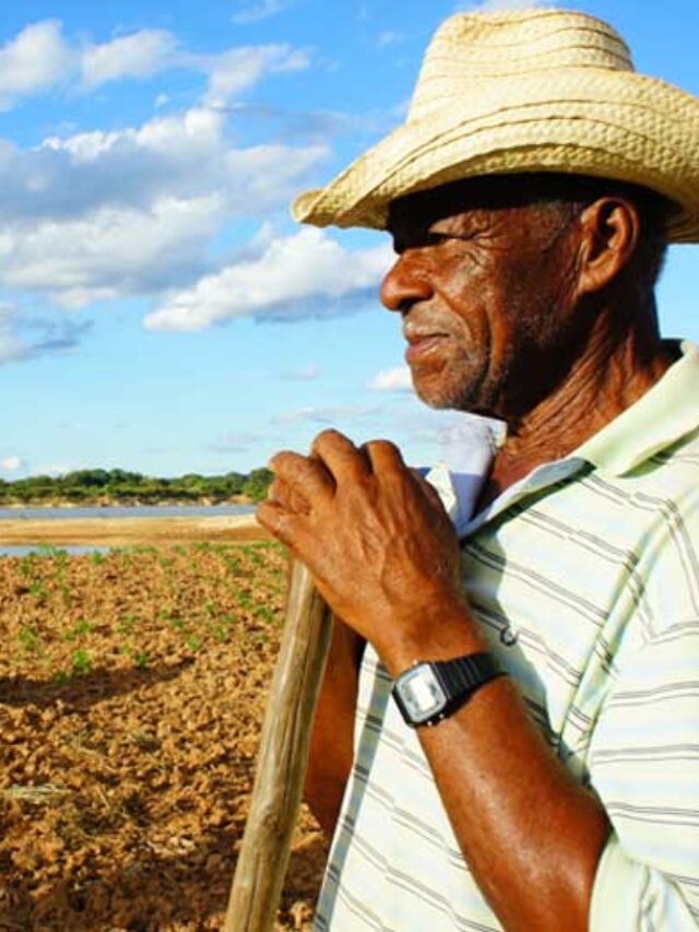 Pequenos e médios produtores devem ter crédito com juros menores