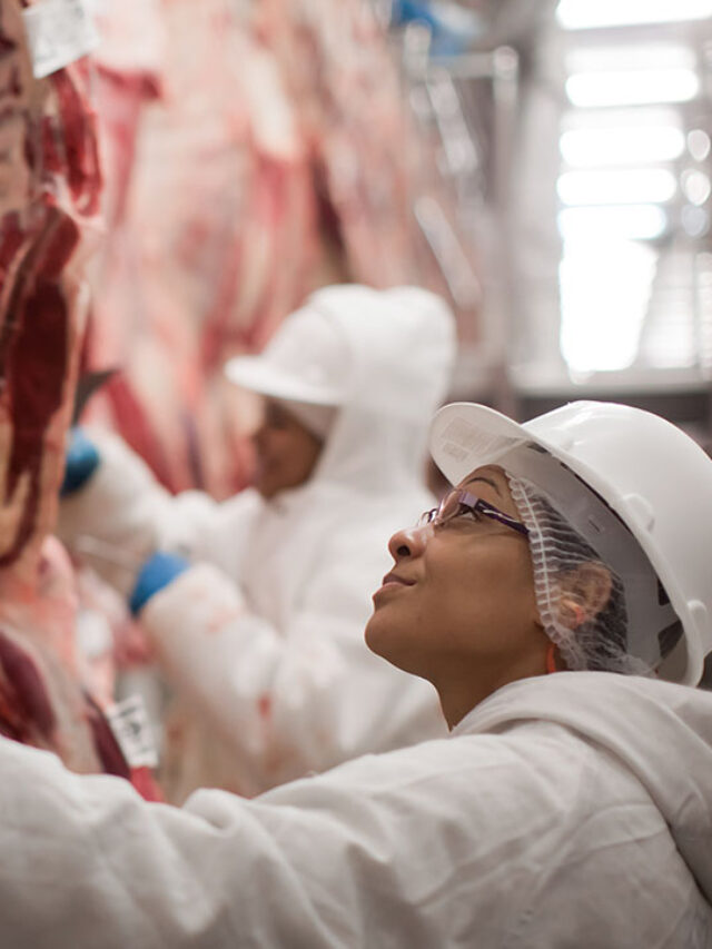 Carne Angus brasileira exportada aumenta mais de 100% em 2022