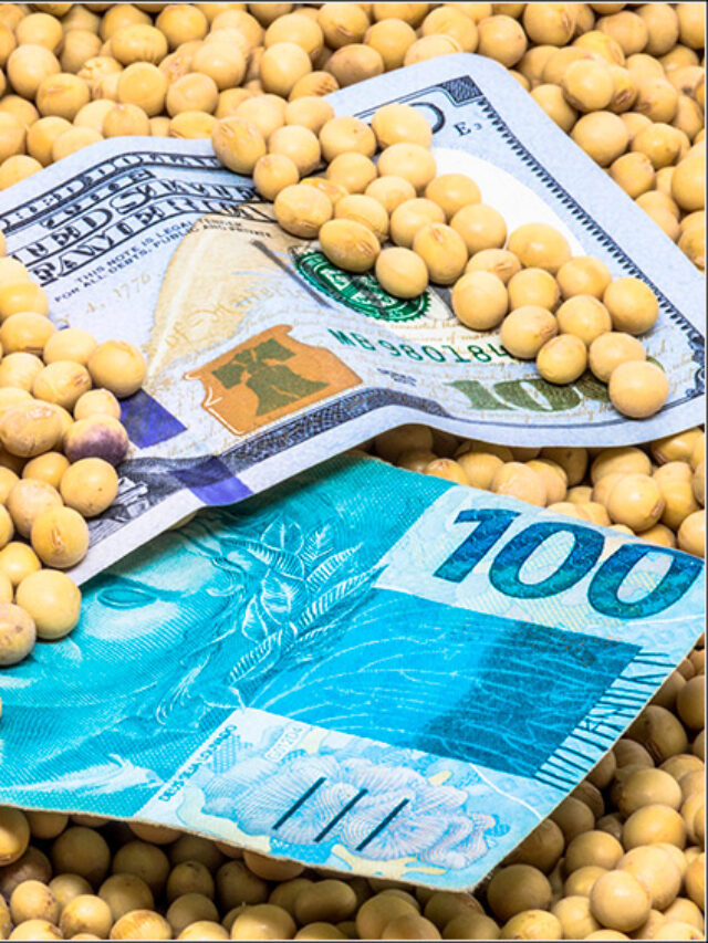 Com dólar em queda, o que fazer com a safra? É hora de vender?