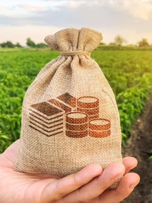 Balança comercial do agro brasileiro tem superávit de US$ 8,22 bilhões em abril