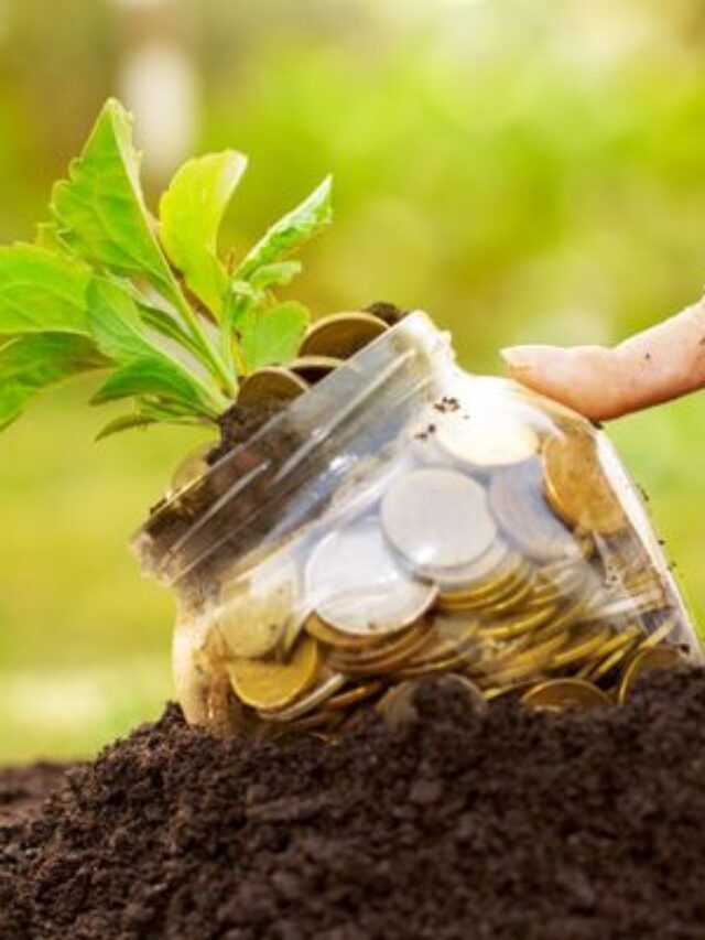 Produtor poderá ter até 90% de desconto na sua dívida rural
